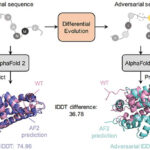 Adversarial Sequence Mutations