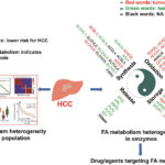 Bioinformatics-based analysis of fatty acid metabolic reprogramming