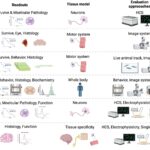 amyotrophic lateral sclerosis