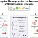 nanozyme-enabled treatment of cardiovascular diseases