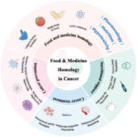 Food and medicine homology