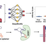 Machine Learning-Aided Aptamer Optimization