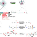 Bioresponsive materials