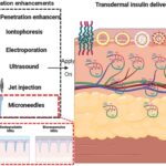 Formulation approaches and strategies for transdermal delivery of insulin: special emphasis on microneedle-based systems