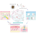 Network pharmacology