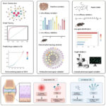 Graph Neural Networks