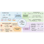 RAD51 - key insights into genome maintenance in Oncology